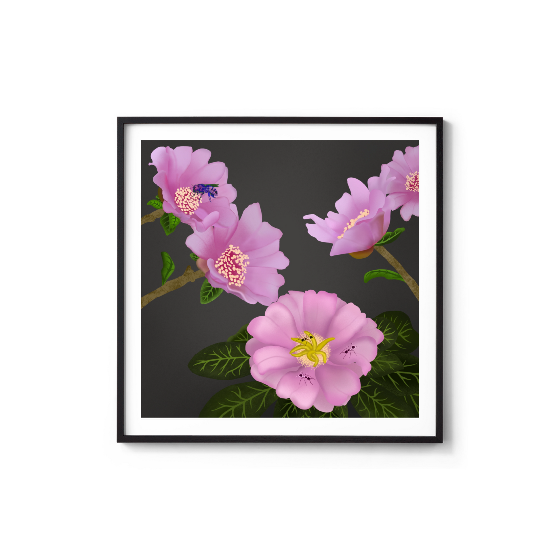 poster rosa de Bayahibe souvenir dominicano