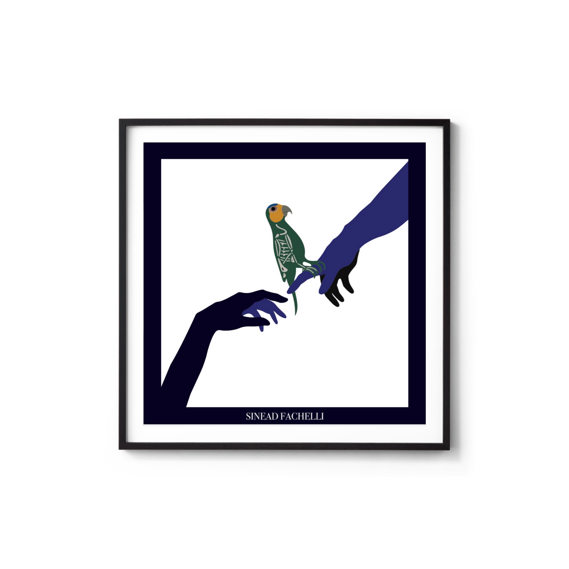 poster de la cotorra souvenir dominicano