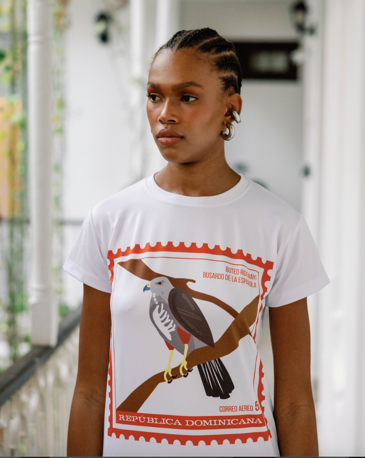 t-shirt del busardo souvenir dominicano