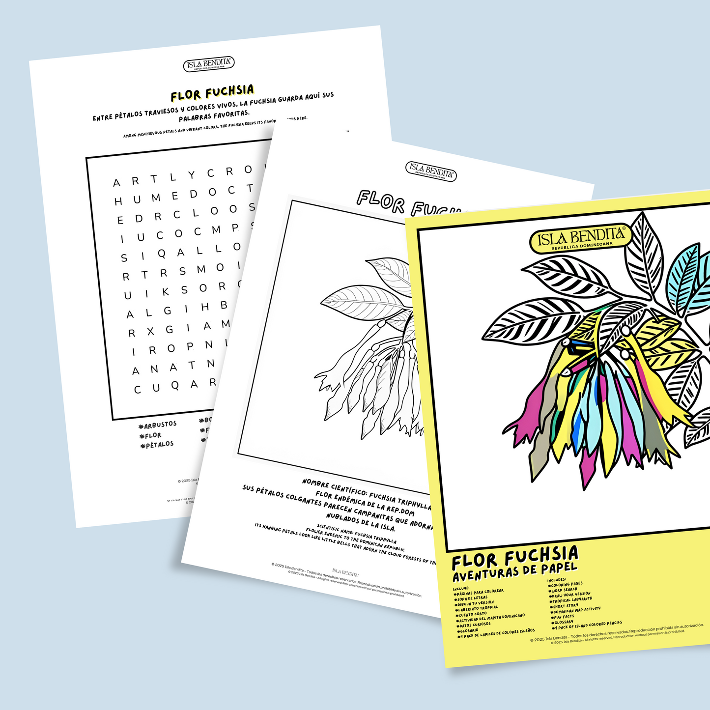 FUCHSIA BOOK KIT
