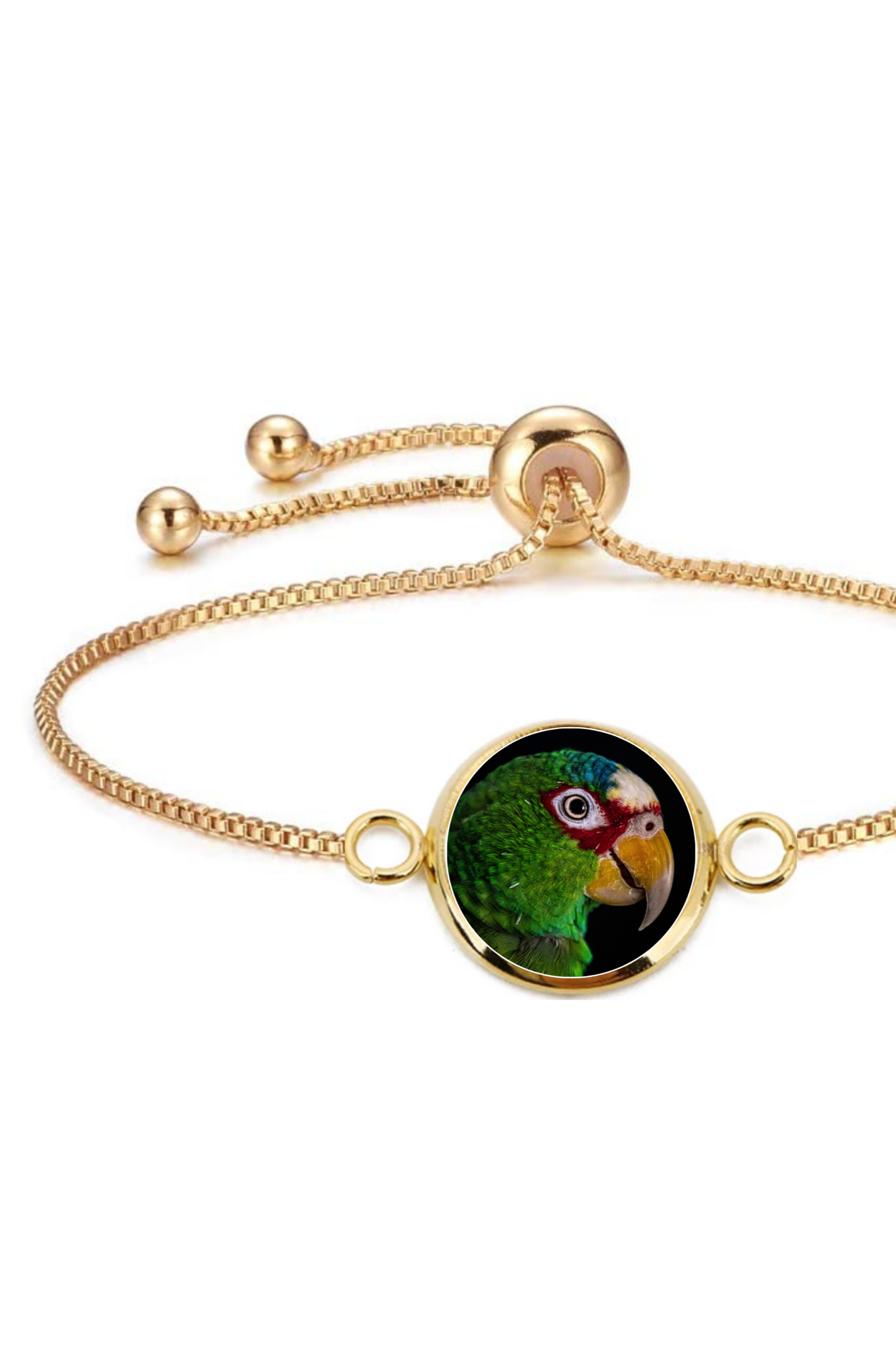 pulsera de la cotorra dominicana souvenir