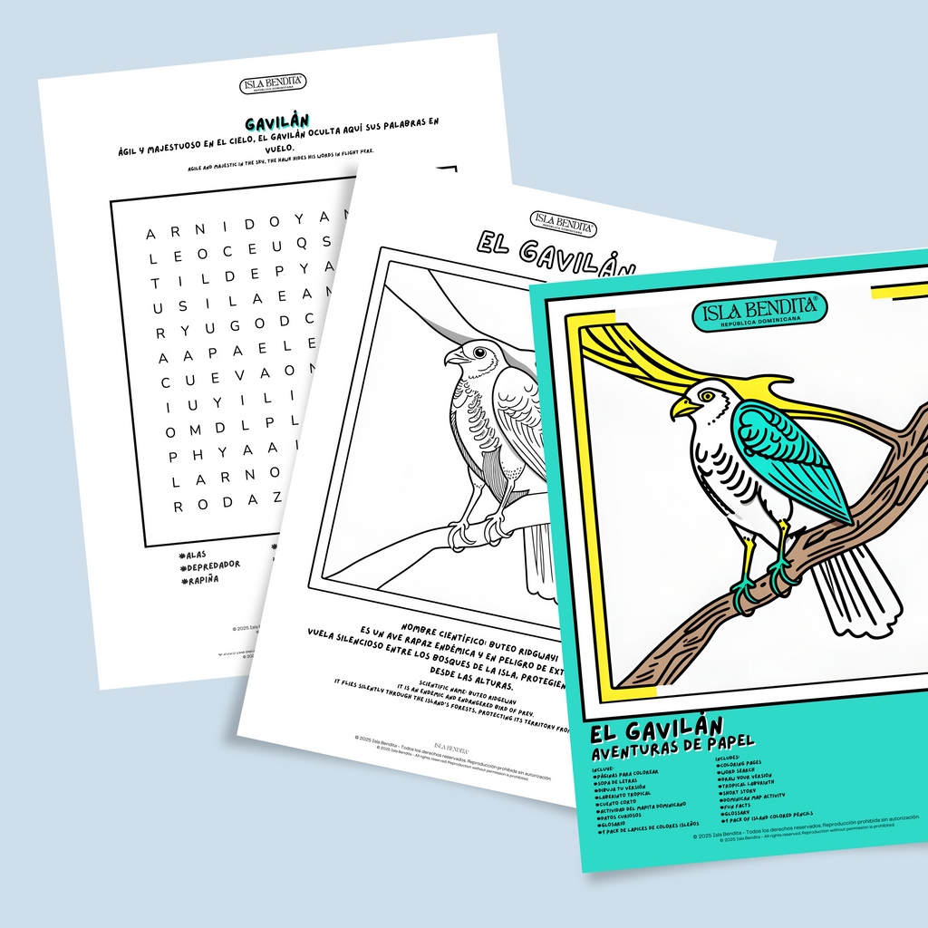 GAVILÁN BOOK KIT