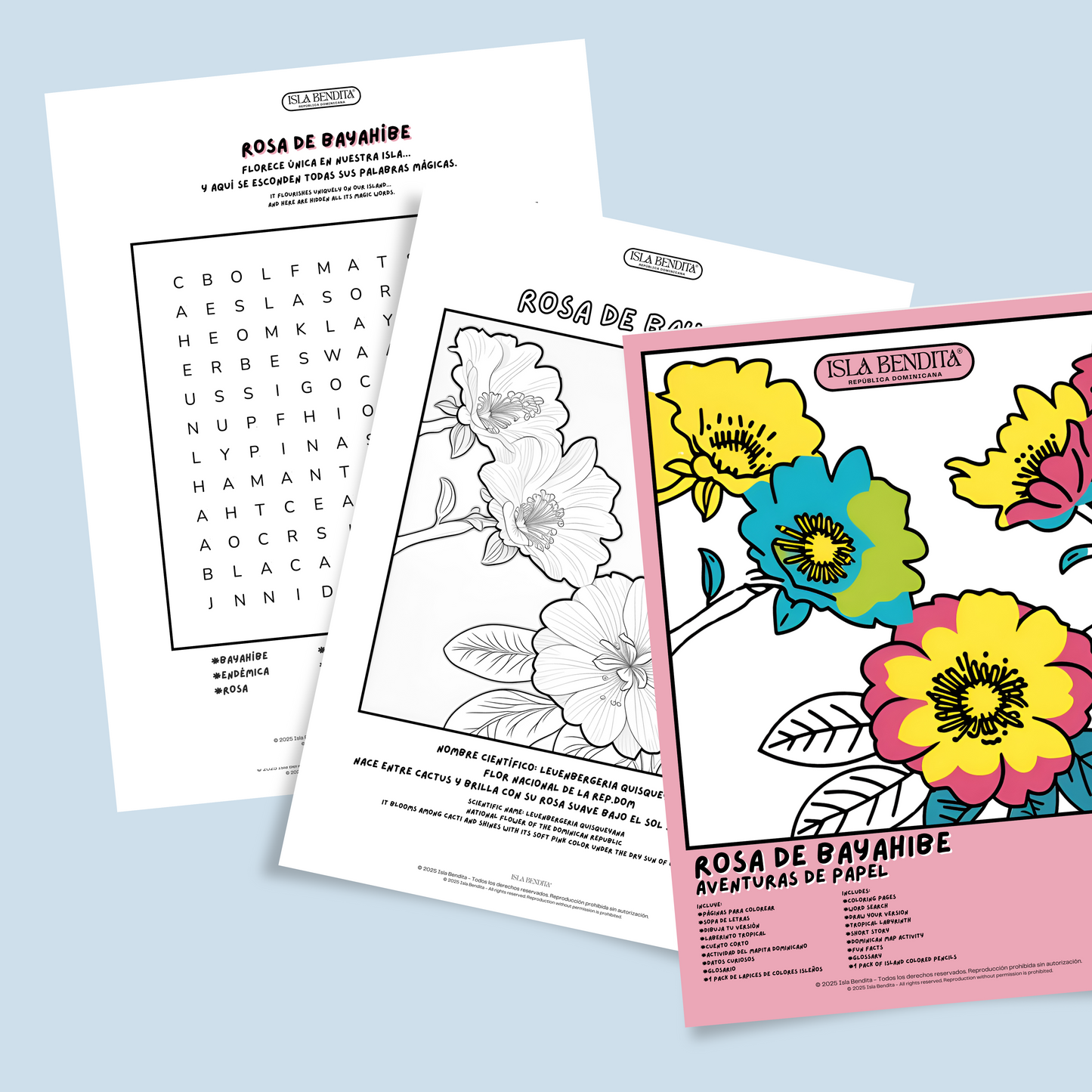 ROSA DE BAYAHIBE BOOK KIT