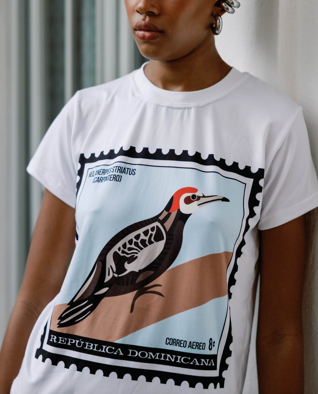 t-shirt carpintero souvenir dominicano