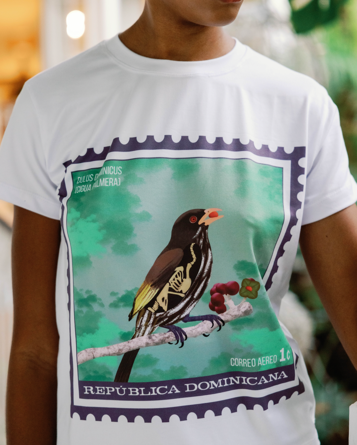 t-shirt cigua palmera souvenir dominicano