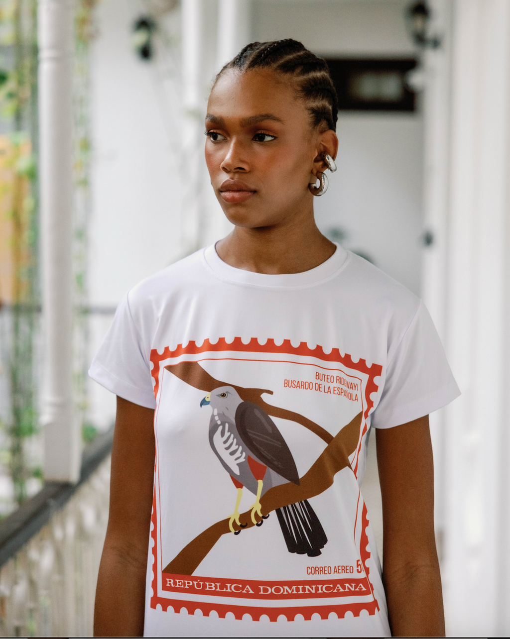 t-shirt del busardo souvenir dominicano